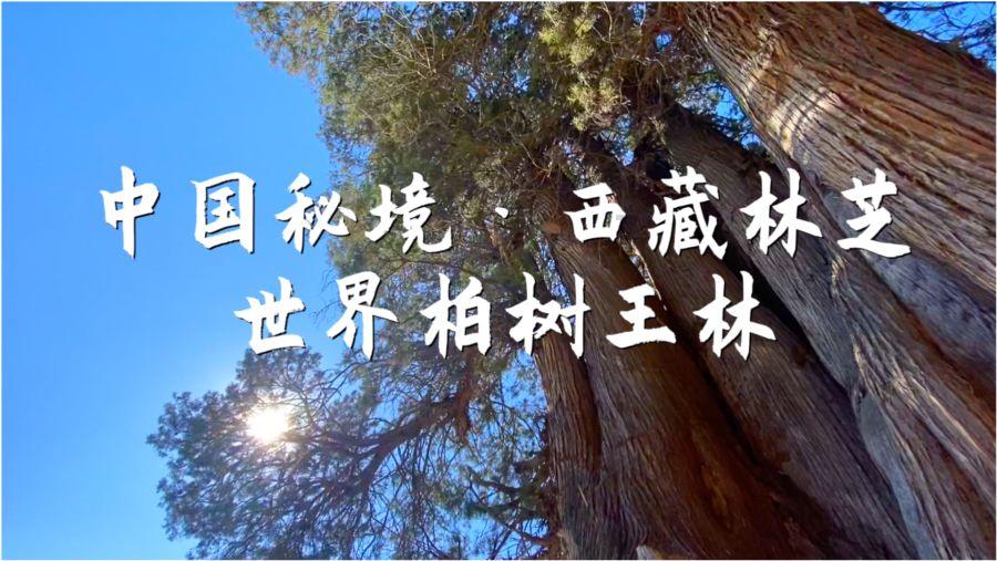 离岸、在岸人民币持续走高